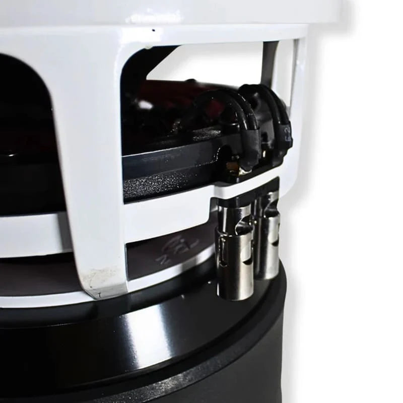 B2 Audio Rampage 10"
