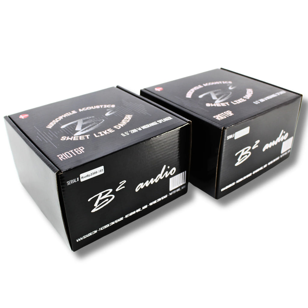B2 Audio Riot 6P