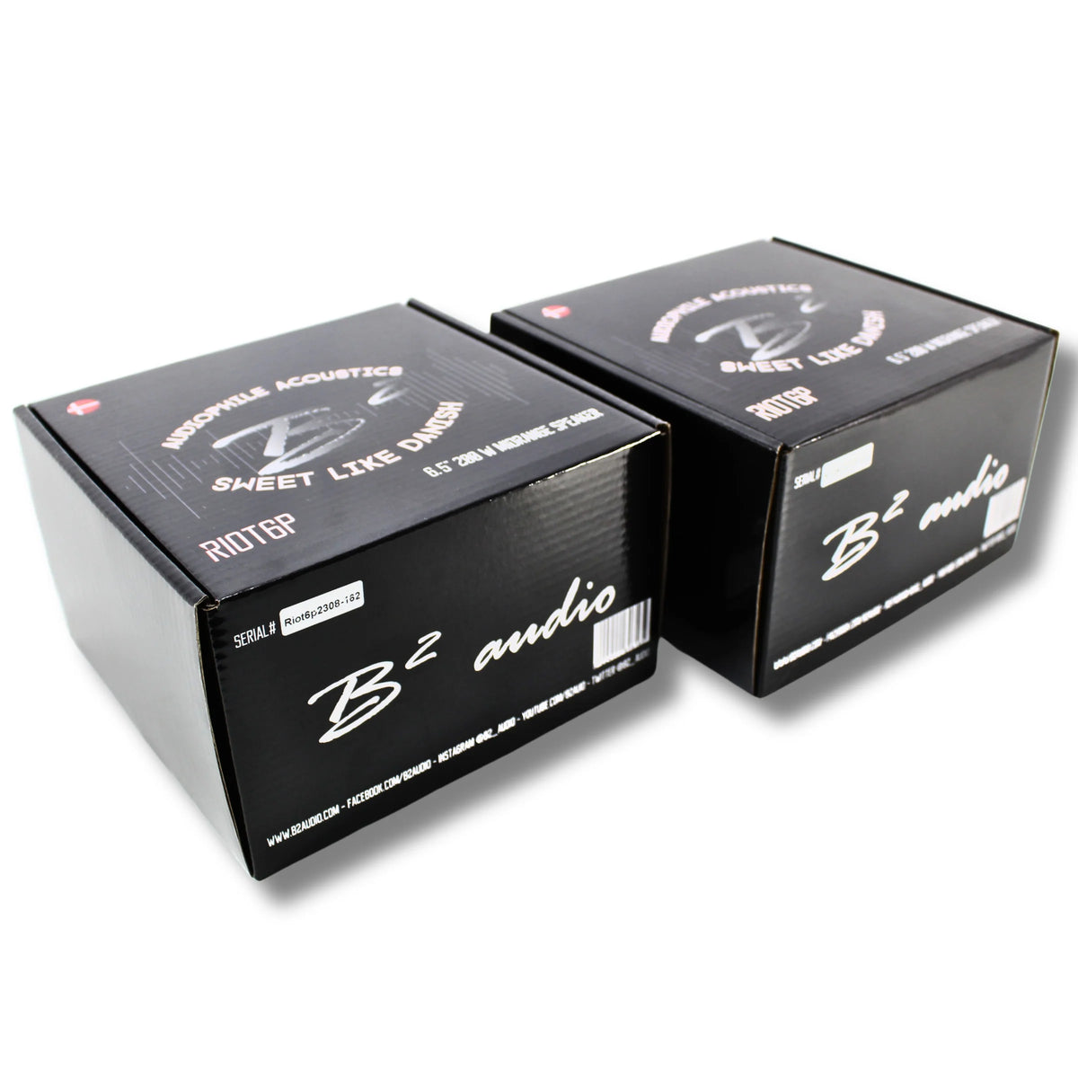 B2 Audio Riot 6P