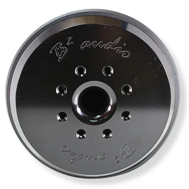 B2 Audio Rampage 10"