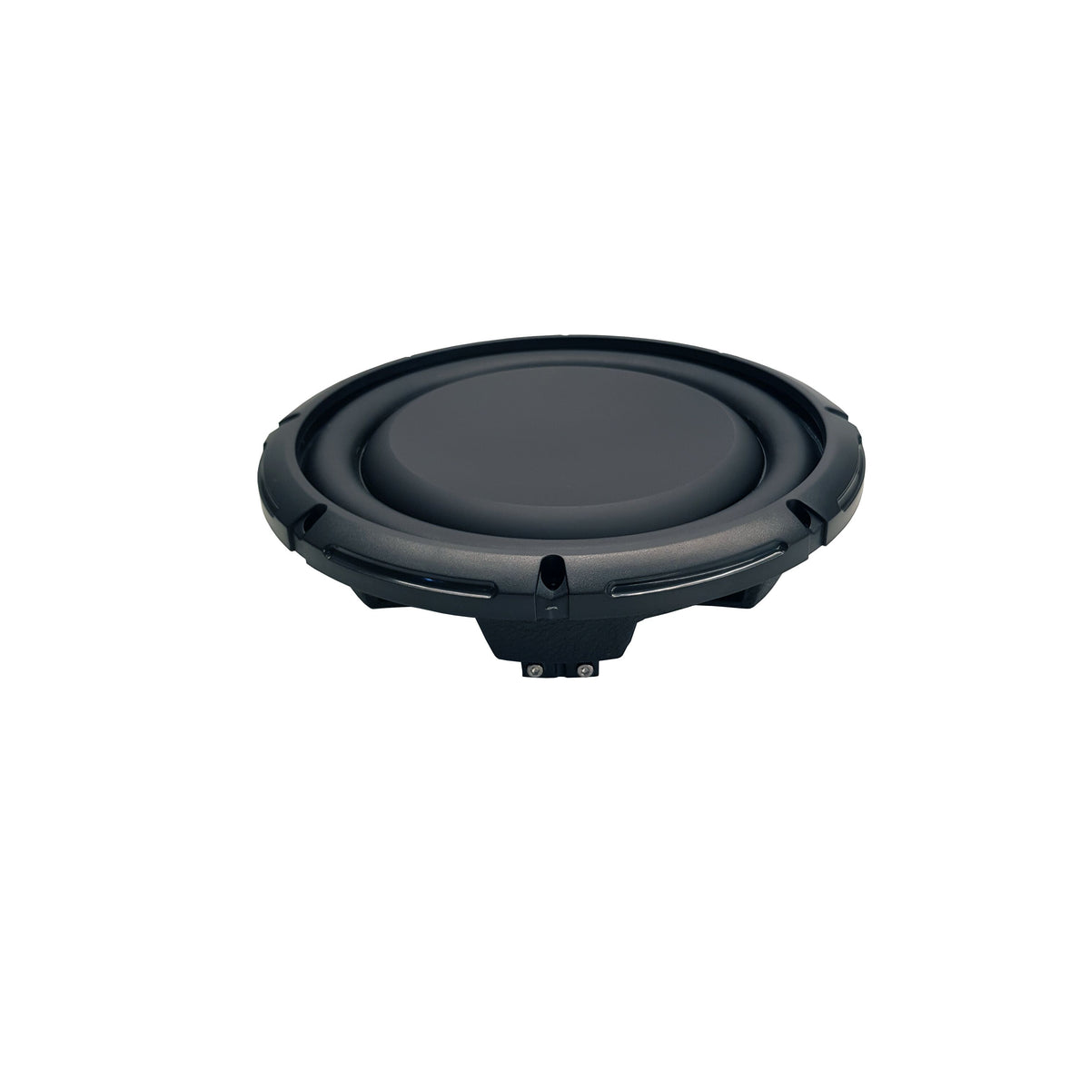 Riot 10" Slim Dual 2 Ohm