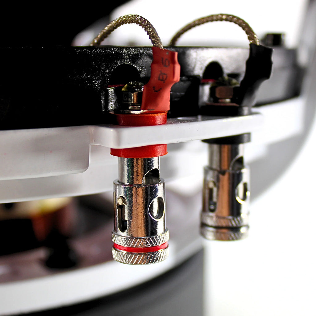 B2 Audio Riot 12" V3