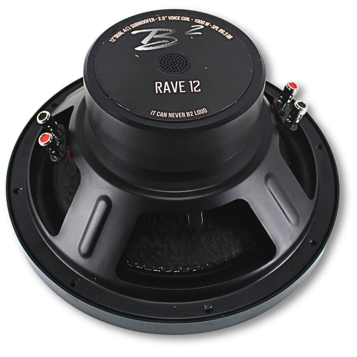 B2 Audio Rave 12