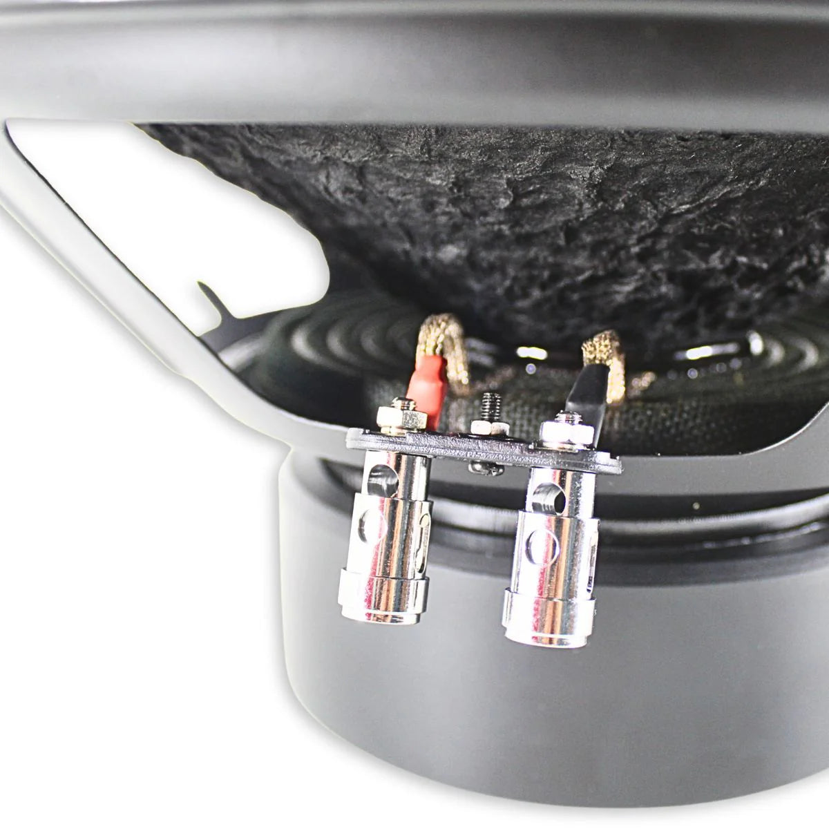 B2 Audio Rave 12
