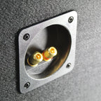 B2 Audio DVPE28