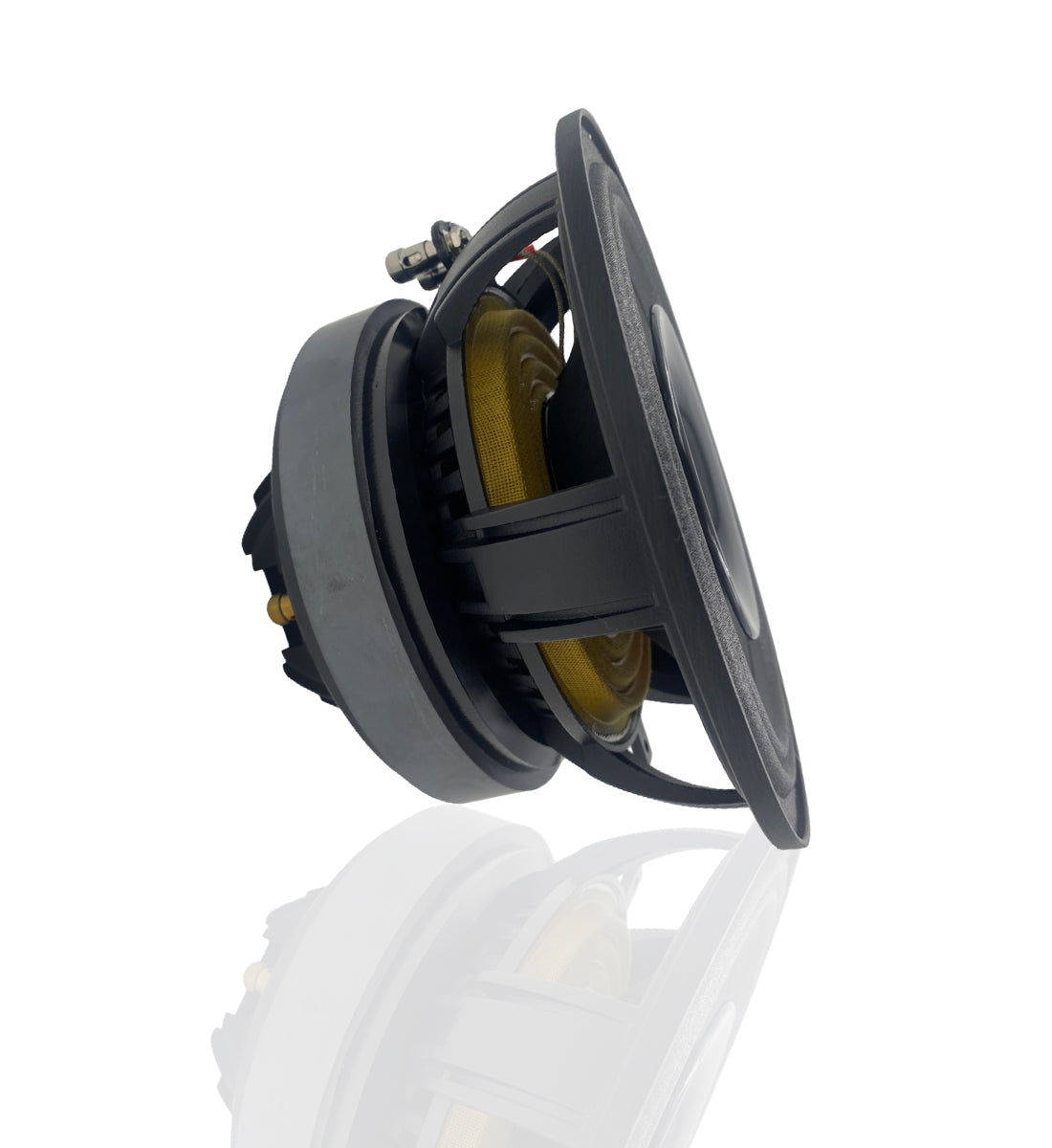 B2 Audio Rage 8" CXP